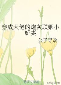 甜文小说推荐重生娱乐圈,高甜小说推荐重生文