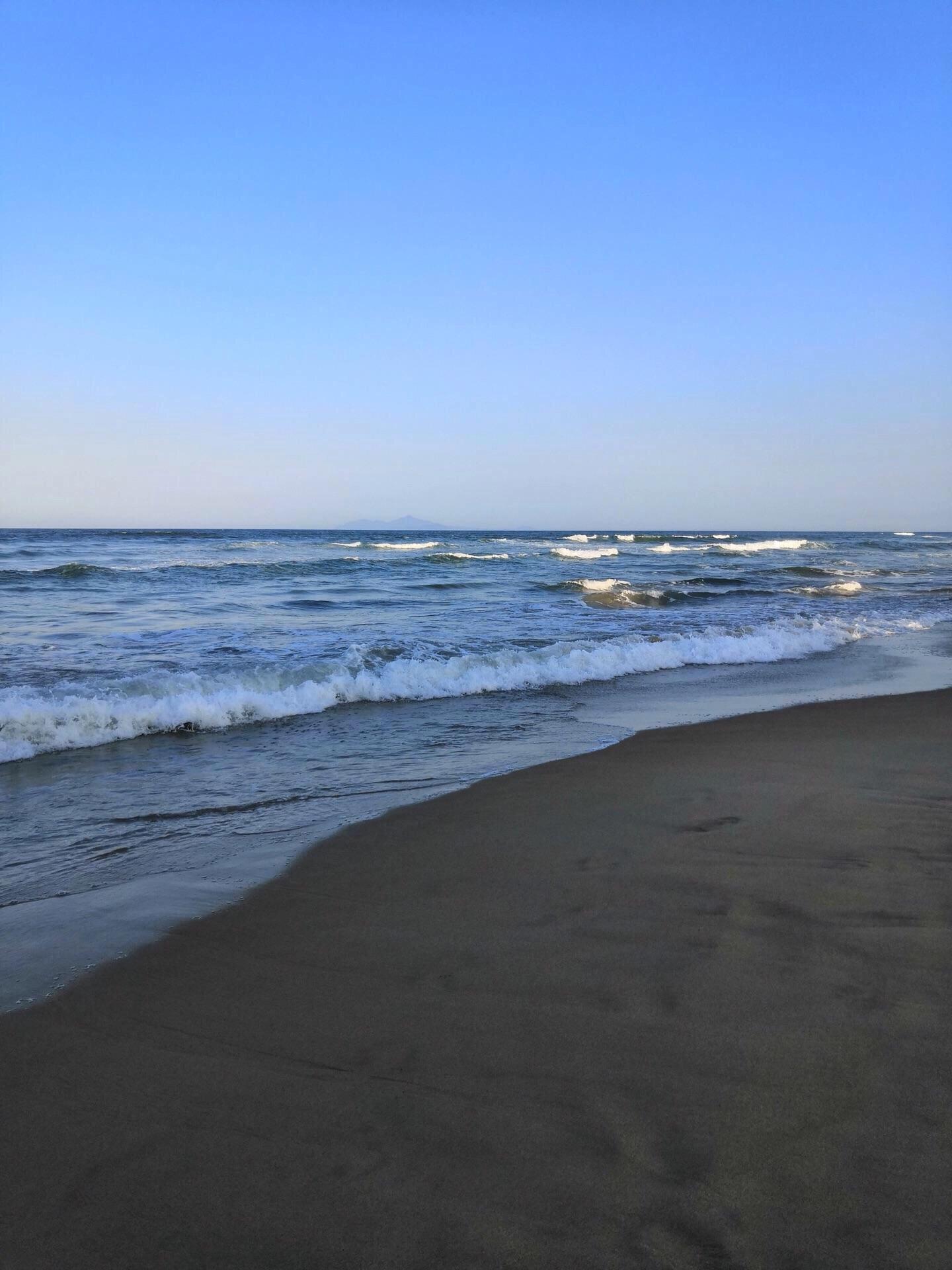 现在能去越南旅游吗,越南旅游需要多少钱