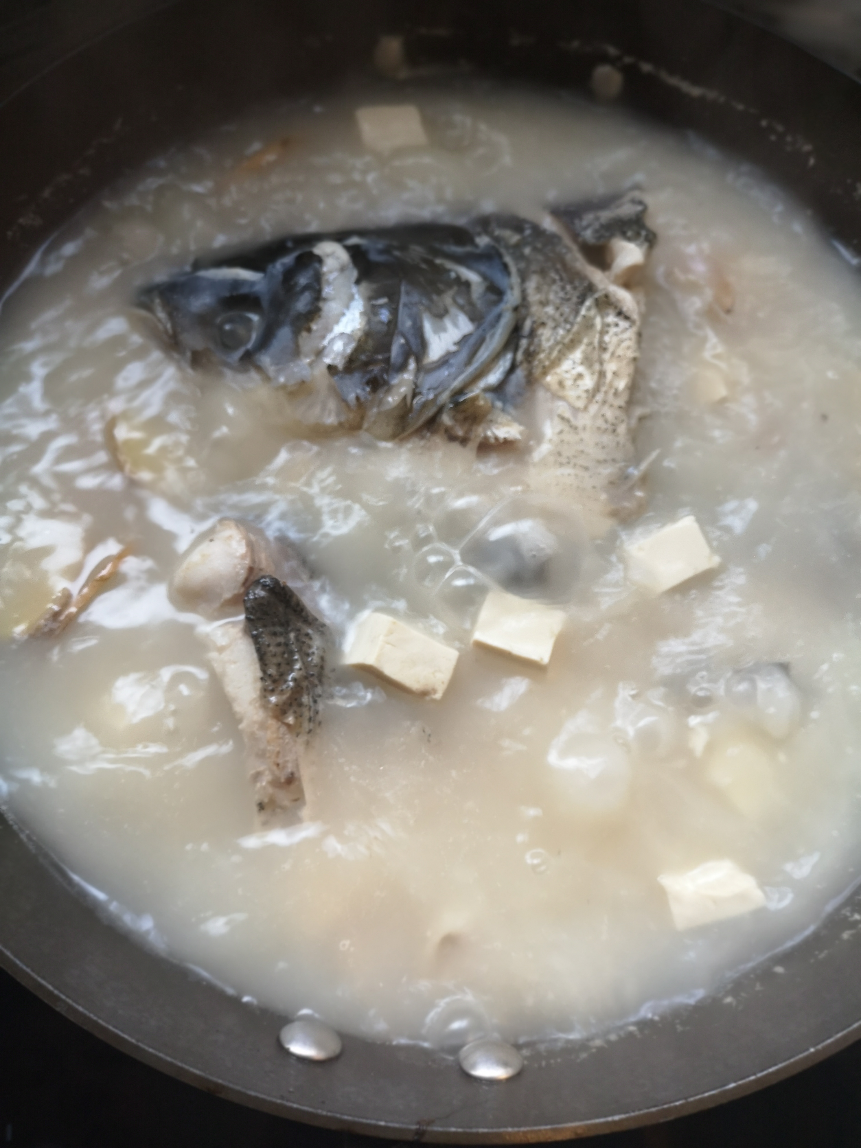 白鲢鱼炖豆腐汤正宗做法,炖鲢鱼豆腐汤不腥的正确方法
