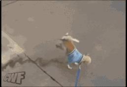 搞笑大哥爆笑图片,搞笑动图走一波