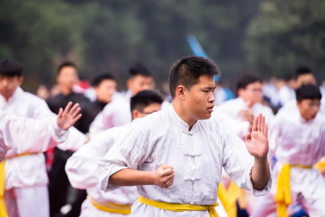 成都最好的公立k12学校是哪个,成都石室佳兴外国语学校排名