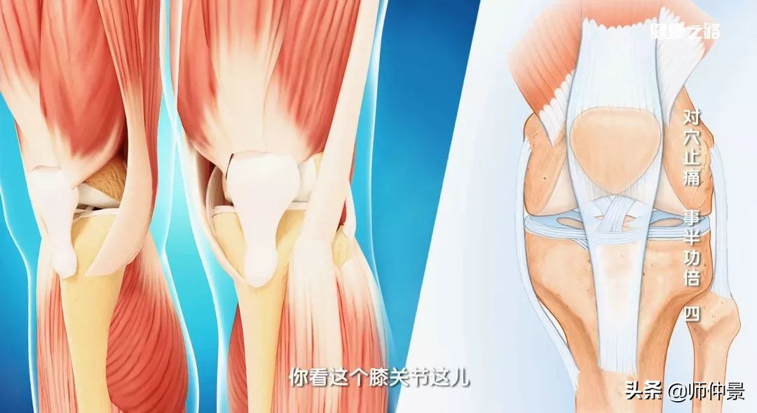 颈椎痛腰痛膝盖痛是什么原因,腰颈椎疼痛按摩哪个穴位最有效