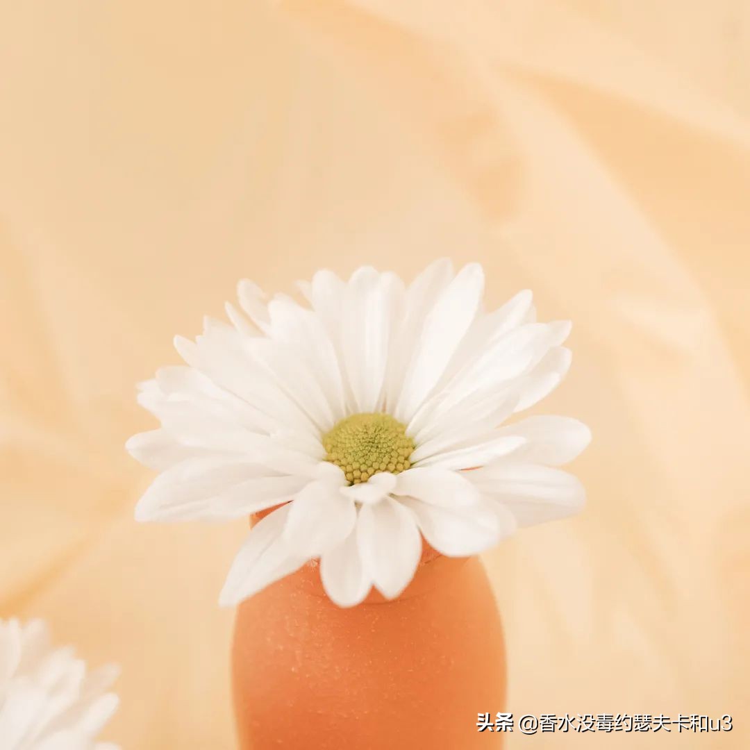 香水的味道哪种比较好闻不刺鼻,怎么区分浓香水和淡香水