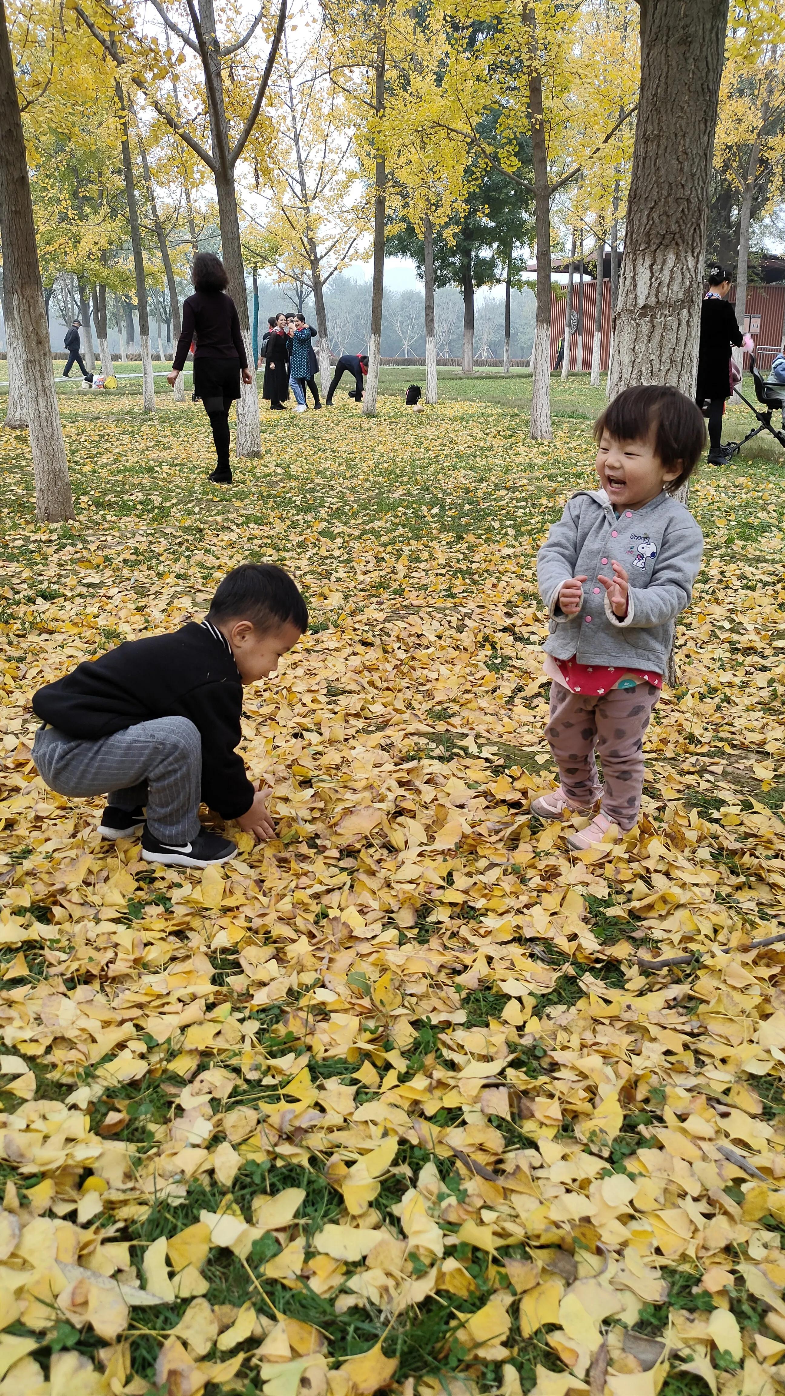 探寻西安大明宫国家遗址公园攻略,西安的大明宫遗址公园