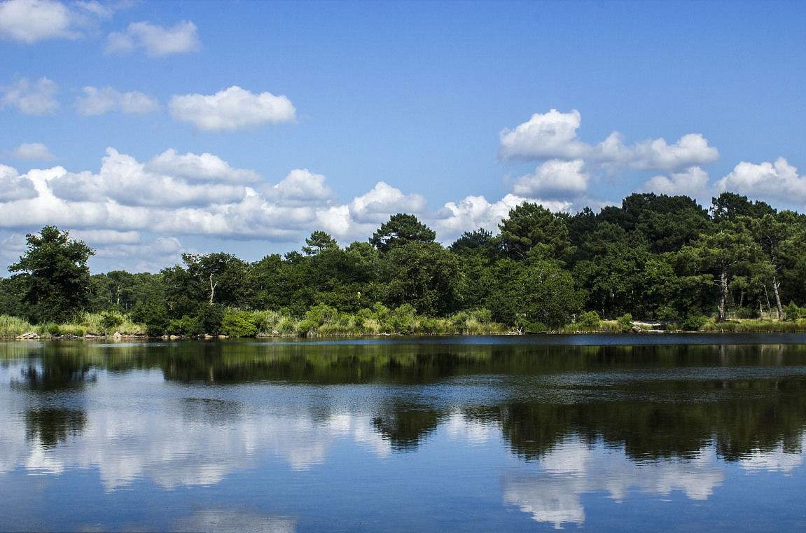 地球南北半球的冬夏,地球的四季都是春夏秋冬吗