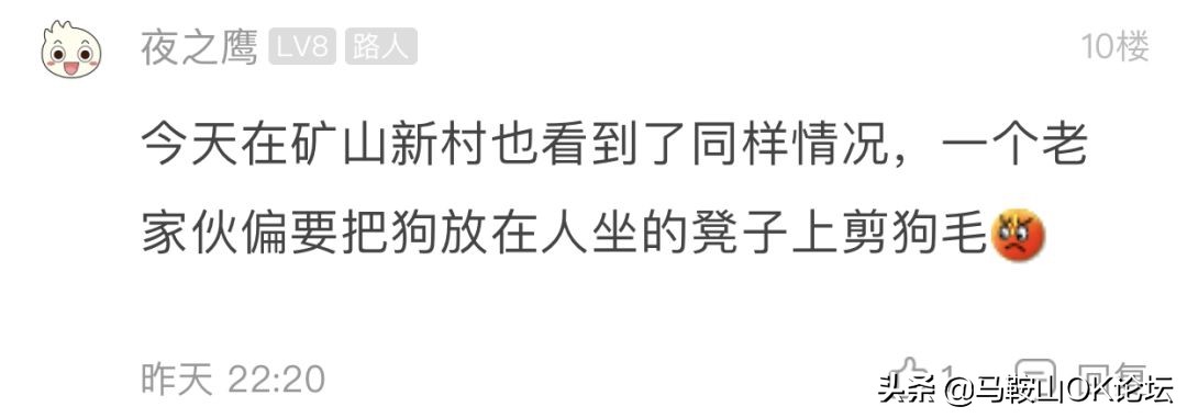 想不通!马鞍山这些‘垃圾人’还可以这么任性?