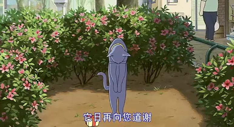 猫的报恩,猫的报恩怎么样