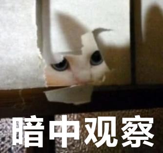 为了在大风中优雅行走，人类都做过哪些沙雕尝试？