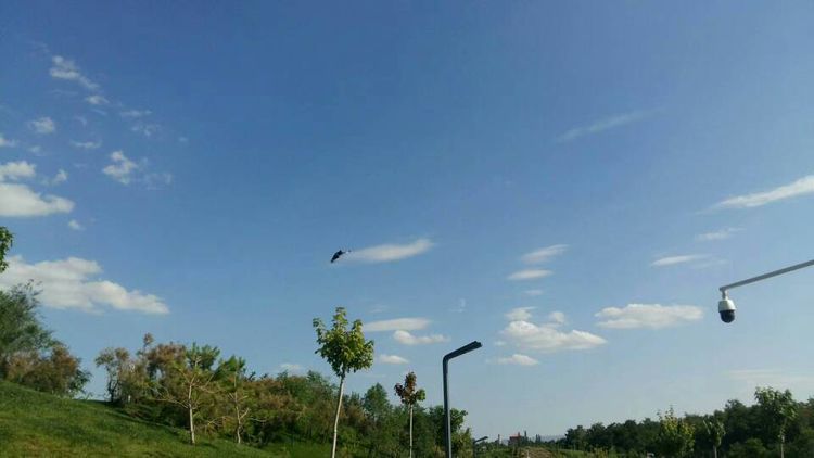 学乒乓球的书,乒乓球王新文