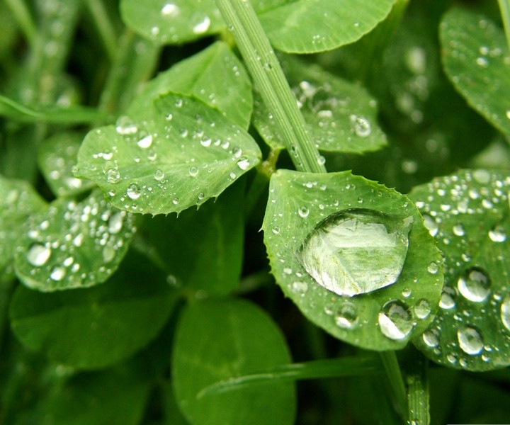 积极的情绪给人带来的好处,一个稳定的情绪和良好的态度