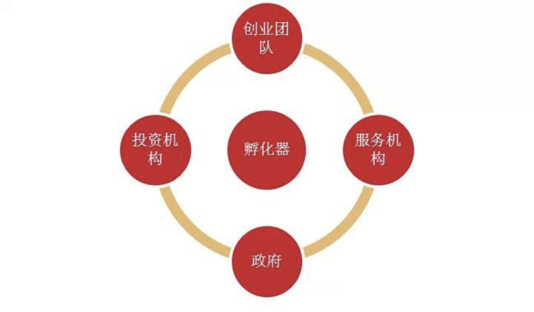 孵化器怎么孵出金蛋,大学孵化器的功能