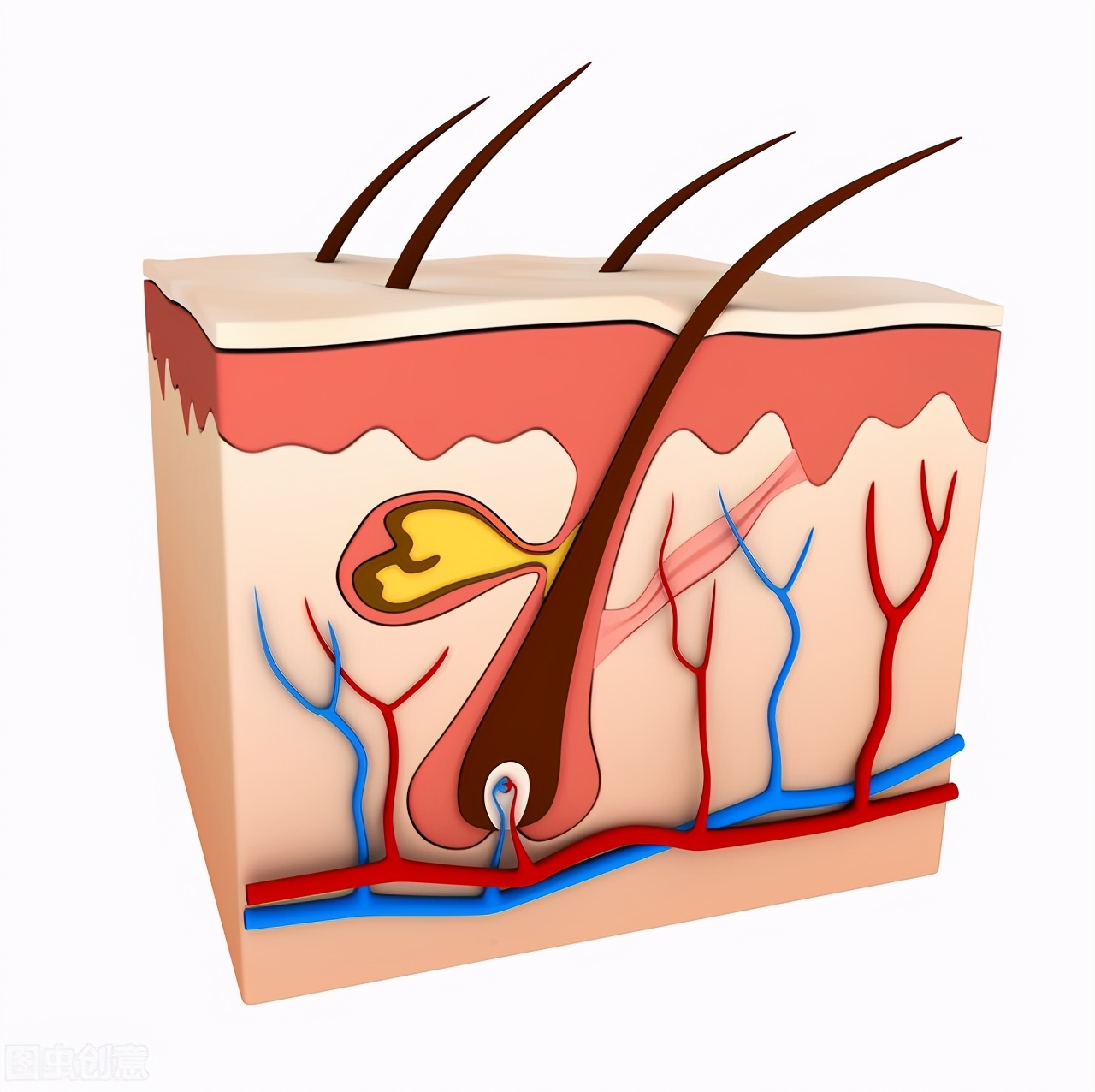 头上密密麻麻小疙瘩是什么,头上摸到肿块是怎么回事