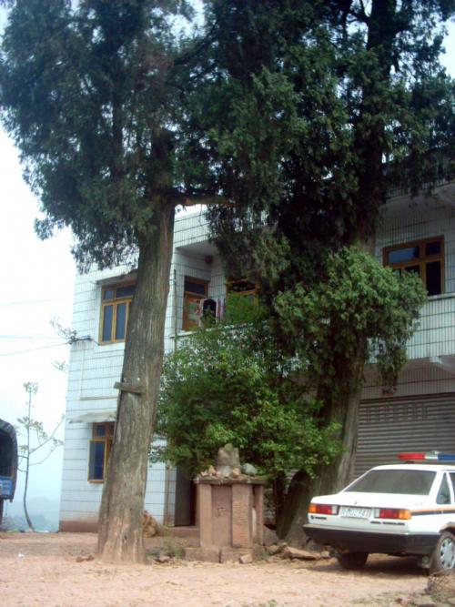 ［原创]实话乐至凤凰山╱刘兴福