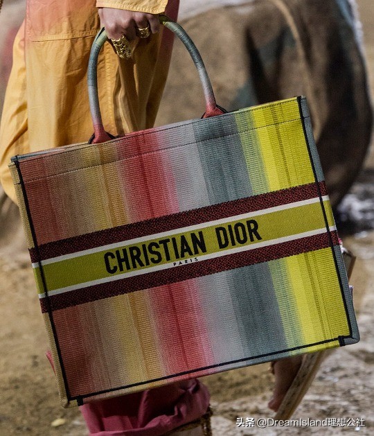 dior新款刺绣帆布托特包,刺绣马鞍包dior2019