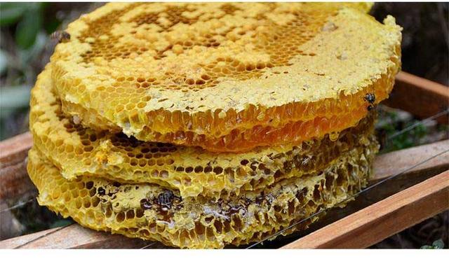蜂蜜不能乱喝详解各种蜂蜜知识,蜂蜜有什么缺点和危害