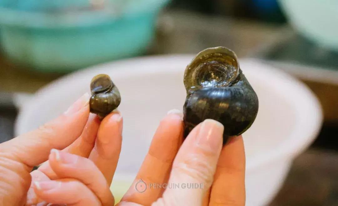 湖州：一座太湖南边的宝藏小城，春笋湖鲜河鱼，嘴巴好忙