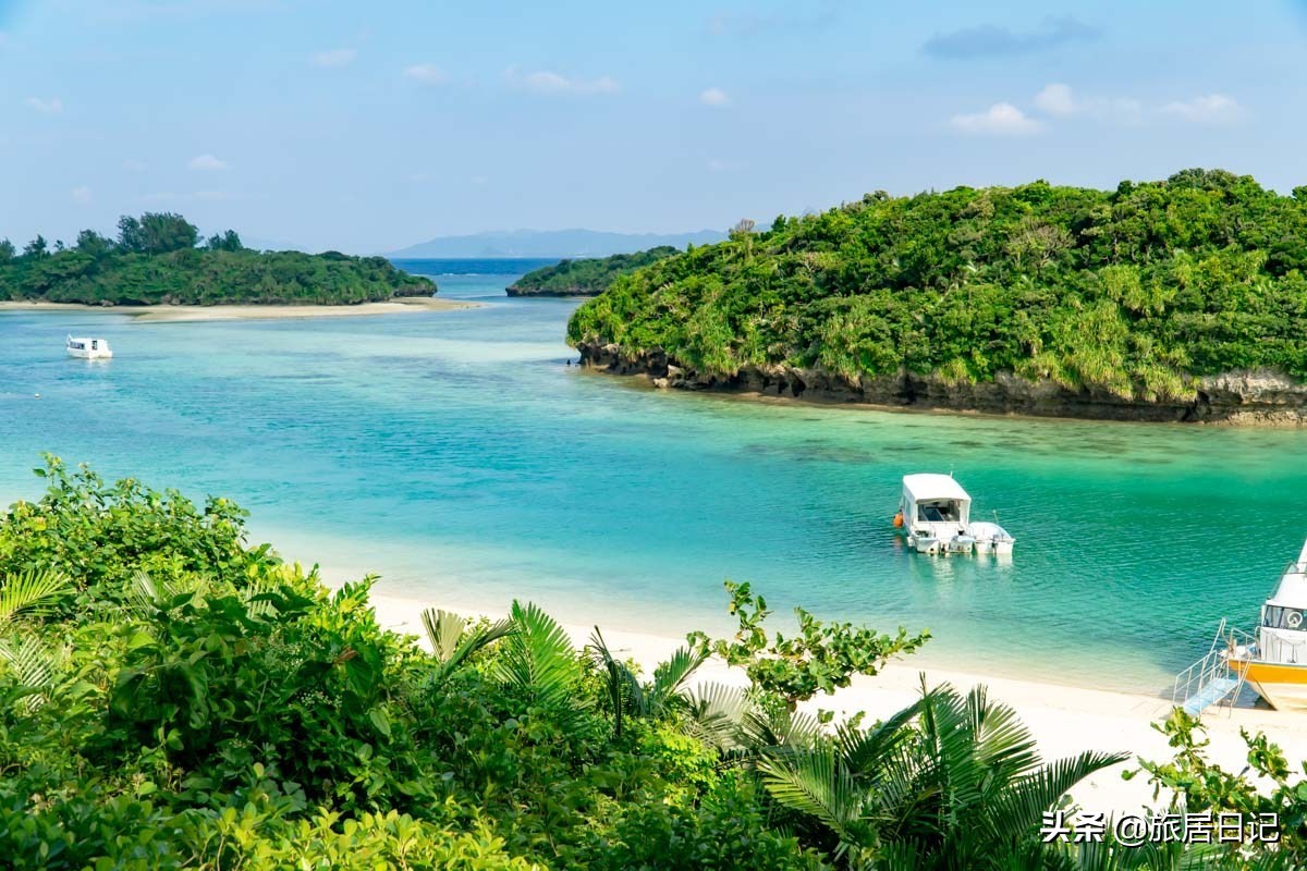 日本十大美景公园,日本东京最美的10座公园