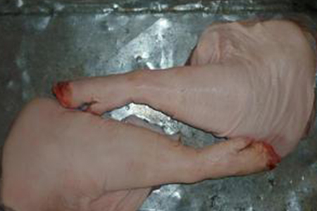 天福号酱肘子配料比例,付记酱肉天福号酱肘子香料配方