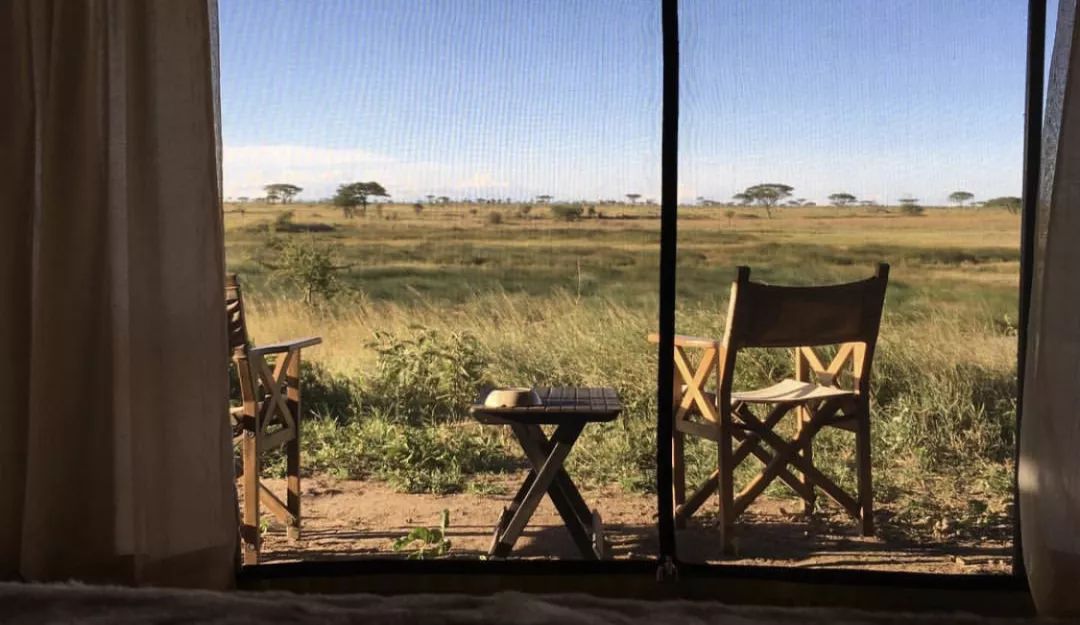 非洲猎游全攻略，让你分分钟玩转非洲草原