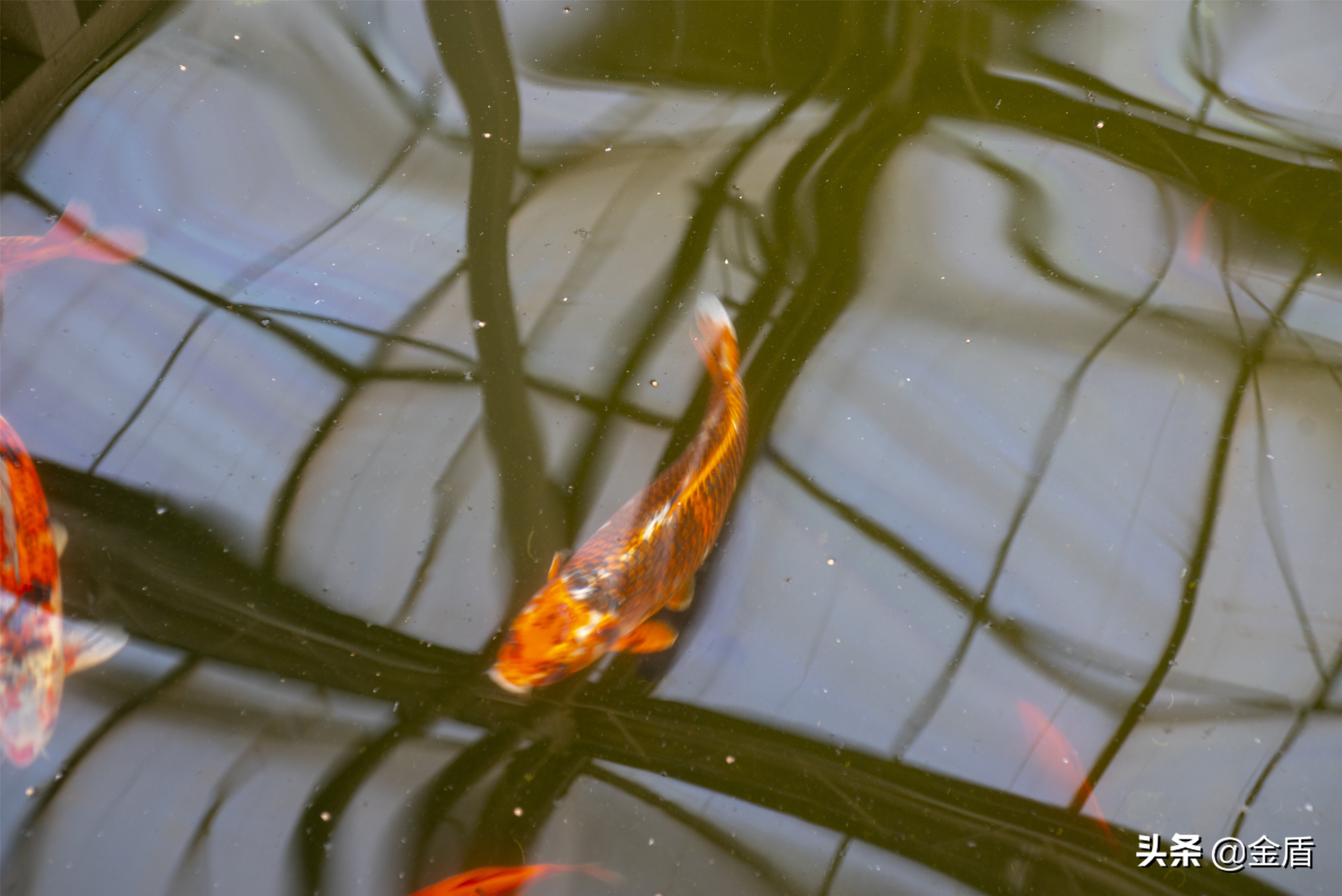 九天休闲谷游览攻略,九天休闲谷欢迎您游玩