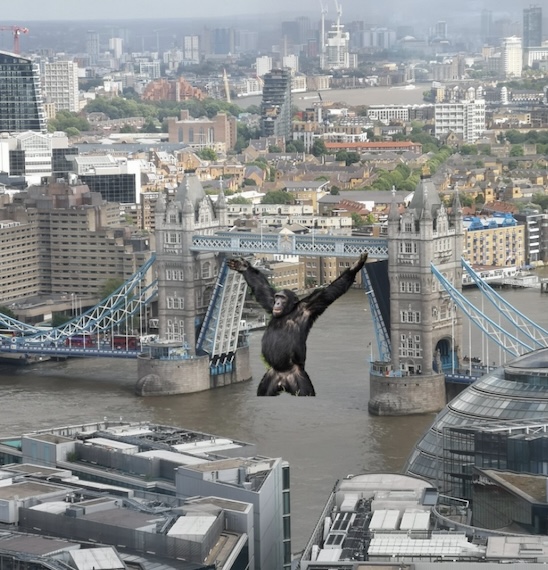 伦敦塔桥被卡住,伦敦塔桥被卡在空中