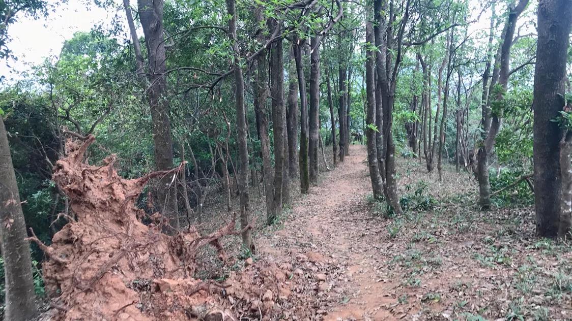 如果你觉得生活太过于平淡,如果你觉得生活太平淡就去改车吧