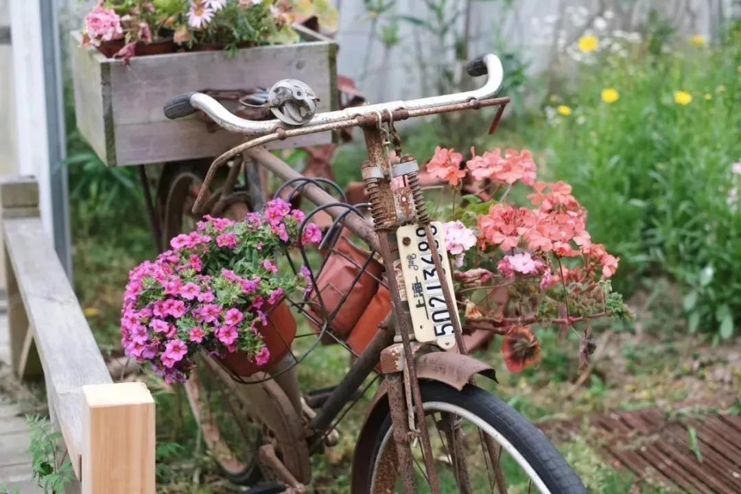 用低成本打造高颜值农场,广东夫妇超省钱