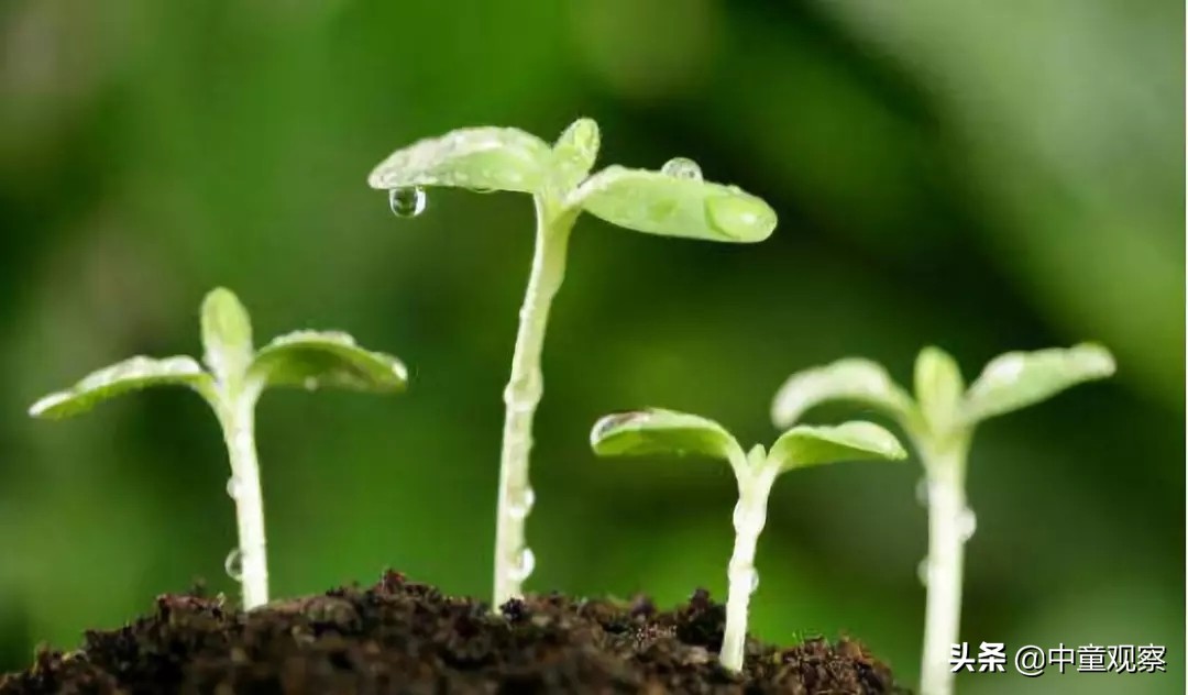 童装夏秋换季陈列,秋季换冬季童装怎么陈列