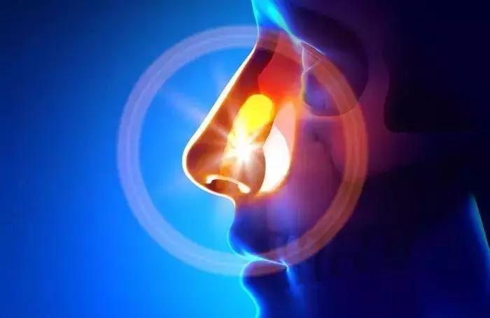 治疗过敏性鼻炎的中成药排名,治疗过敏性鼻炎的喷剂药物有哪些