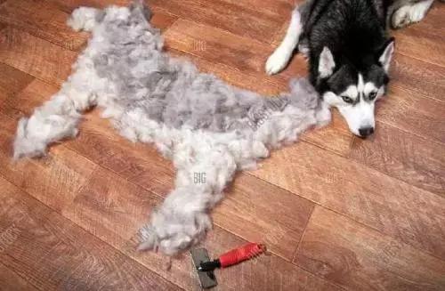 变废为宝绵羊毛衣,变废为宝旧毛衣