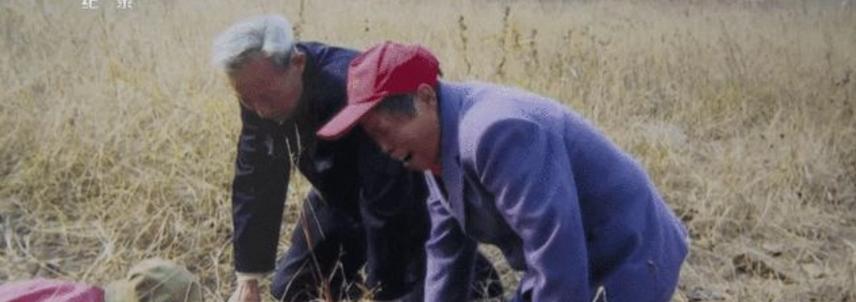 养父去世后36岁女孩寻亲,女子整理父亲遗物发现一封血书