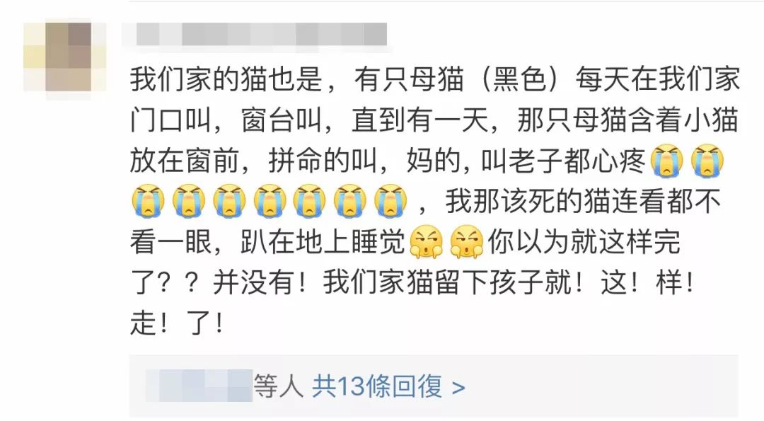 猫圈玄学,十橘九渣