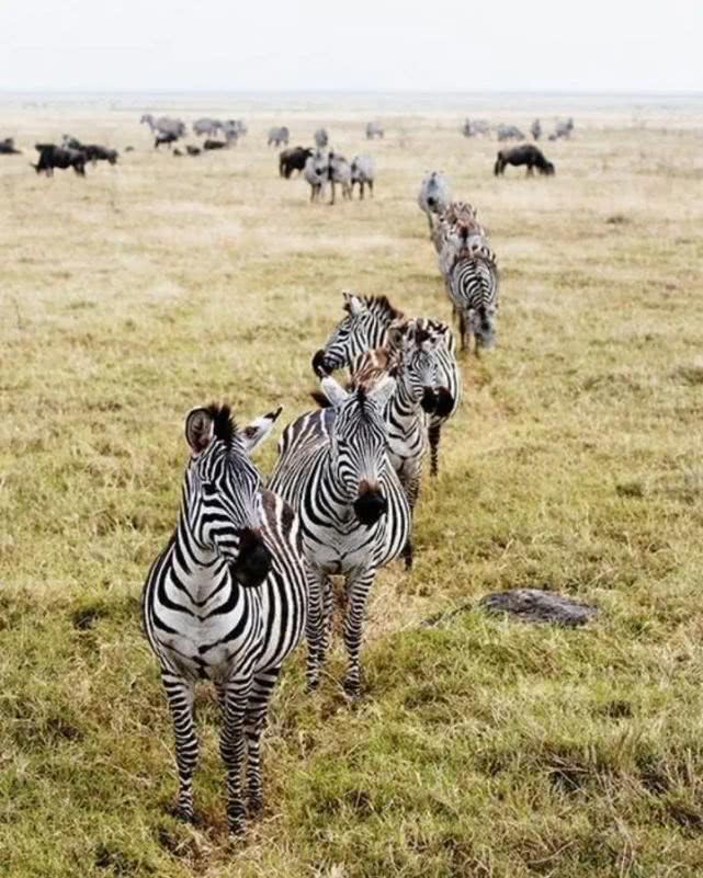 什么是非洲？这12处惊艳之地告诉你