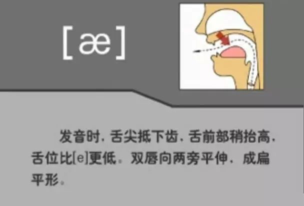 英语音标48个快速记,英语48个音标顺口溜视频教程