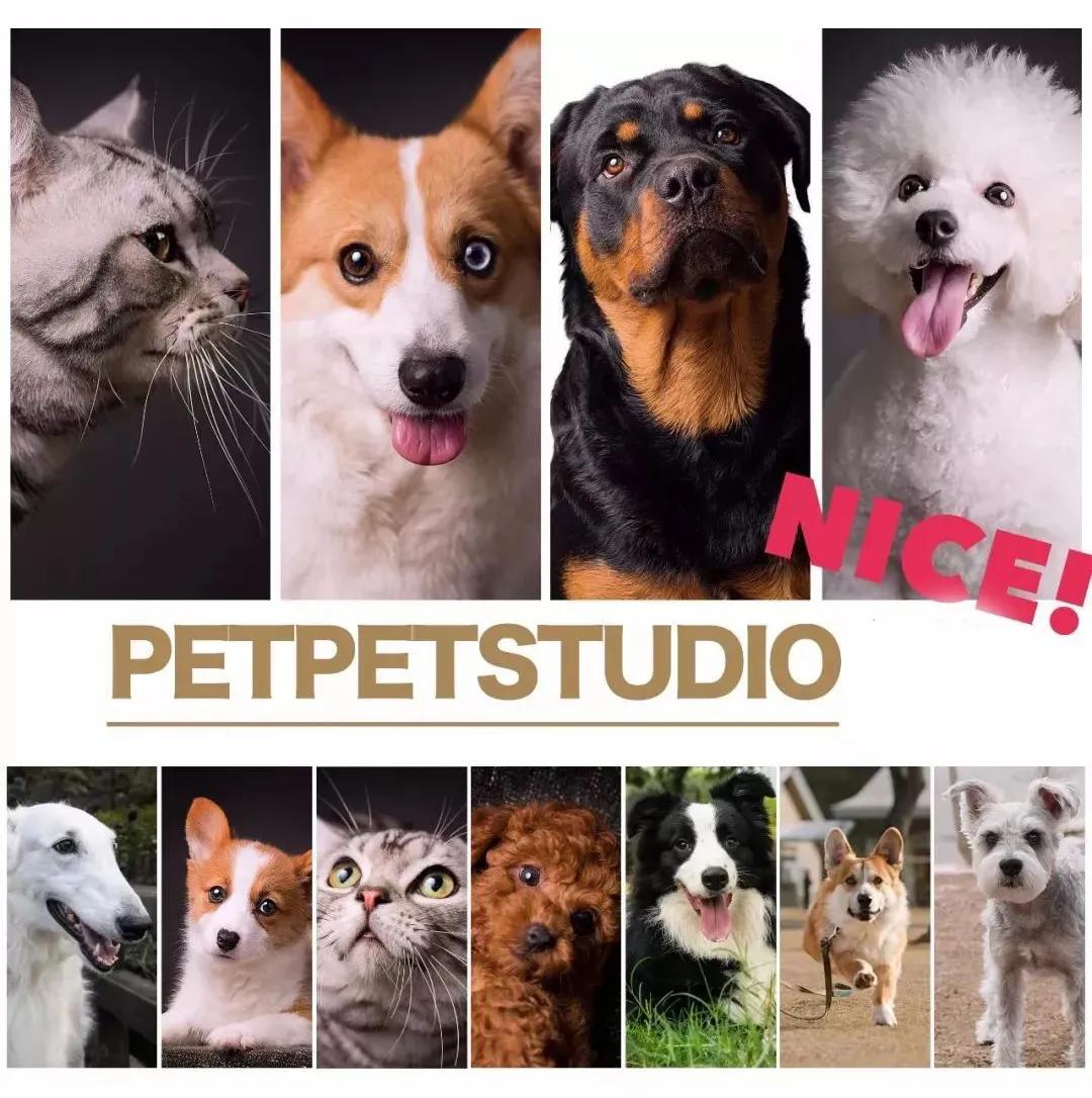 买车必等9月,2020烟台秋季车展亮点预告