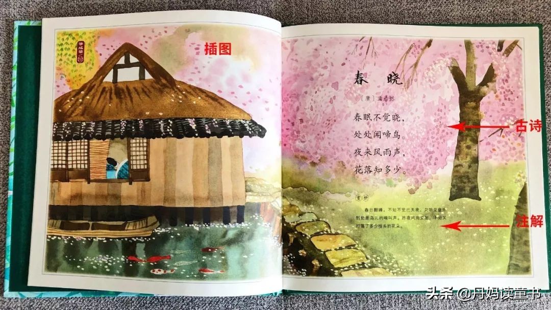 全网最全古诗启蒙书测评,早教古诗100首儿童启蒙必读诗篇