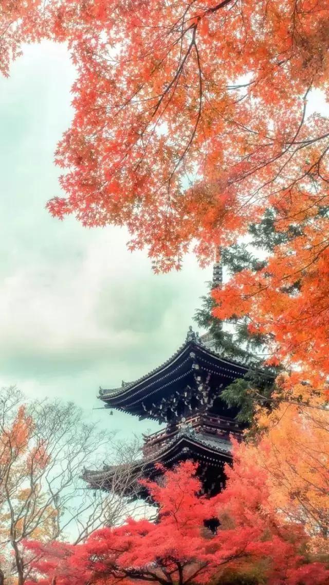 含有数字的完整古诗词名句,含有数字的诗句古诗词大全集