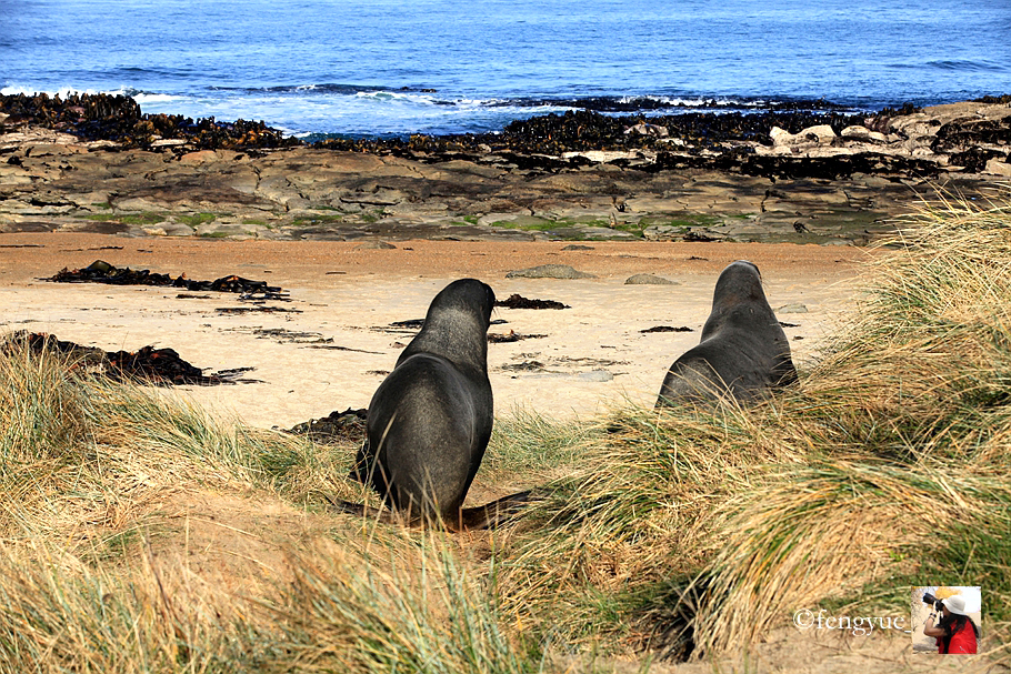 新西兰有哪些景观,新西兰风景最好的地方在哪里