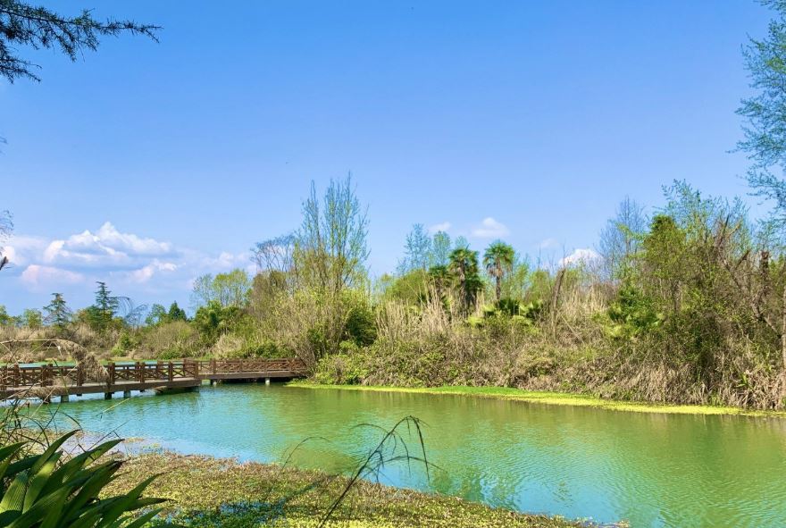 成都周末吃喝玩乐一体的地方,成都周边一日游的宝藏地