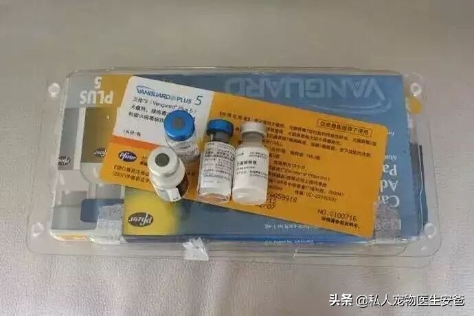 宠物疫苗可以在网上买吗,安爸为啥打生物制剂