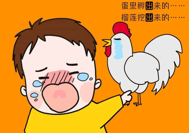 不要让性教育成为难以启齿的话题,性教育的十种误区