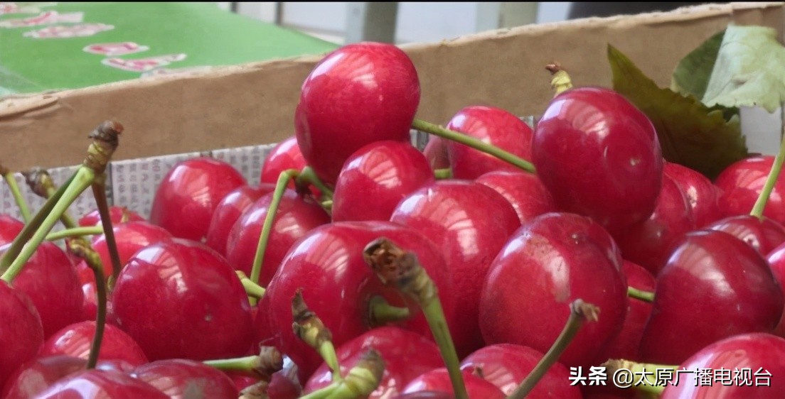 四五月正当季的水果有哪些,五月高端时令水果品种