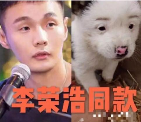 明星撞脸不可怕性别不同就尴尬,意想不到的明星撞脸