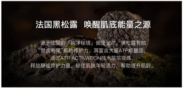 英树是传销吗,英树是不是传销