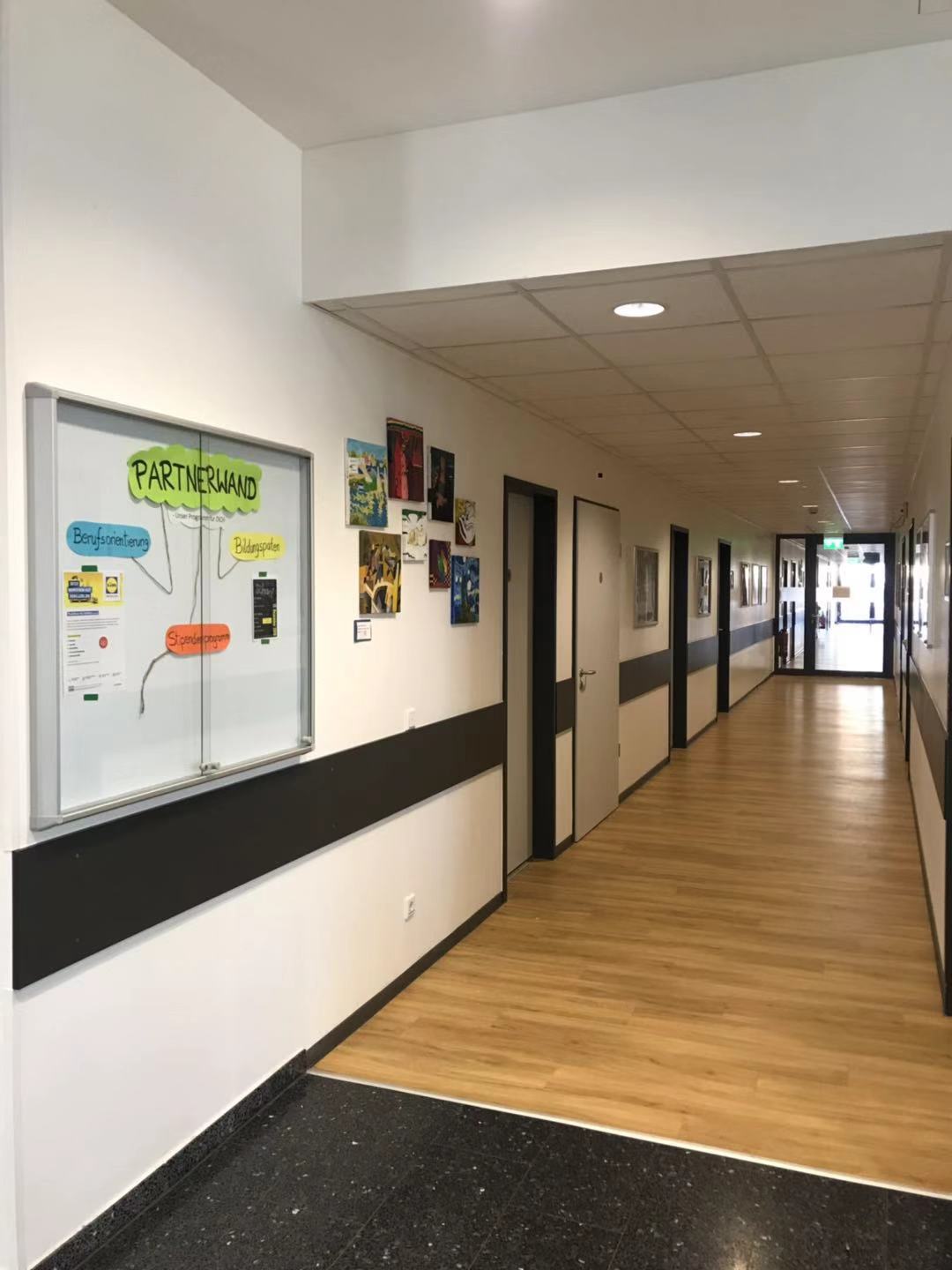 原来海德堡除了有德国最顶尖的大学，还有这么优秀的文理中学？