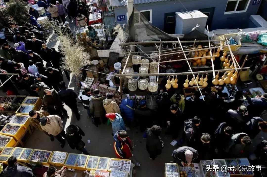 北京花鸟市场老照片,北京旧官园花鸟市场