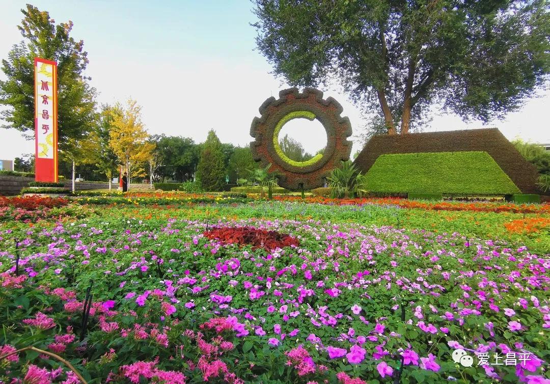 人间最美的旅游地,人间最美四月天去哪里玩