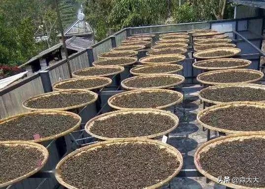 生普洱制作的全过程,生普洱制作工艺流程