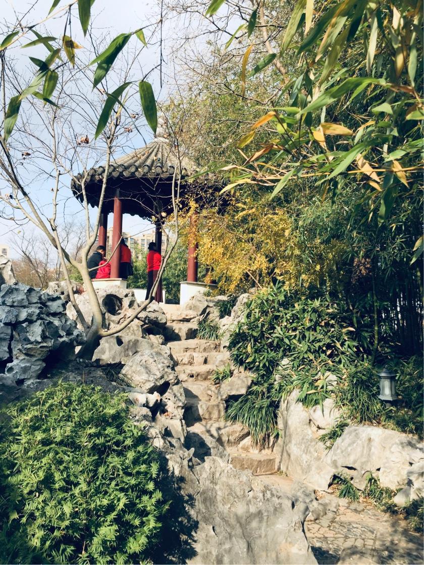 上海古猗园餐厅,上海古猗园详细地址