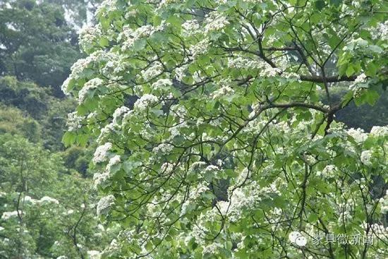 涂料100种常识,涂料常见知识